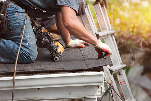 Professional Roofing Contractor in Zachary, LA