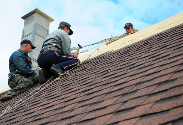 Best Roof Gutter Cleaning  in Zachary, LA
